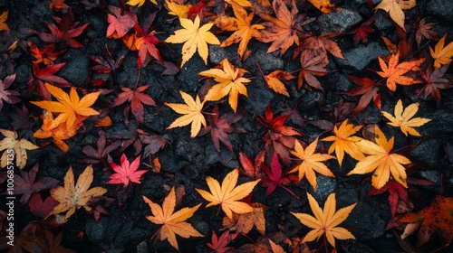 fall leaves covering the ground 