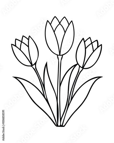Simple tulip line art illustration with three flowers and leaves vector design isolated on white background