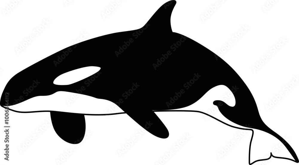 Fototapeta premium Whale Cricut and Silhouette SVG file 