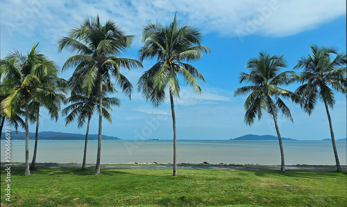 Coconut palms line the shore