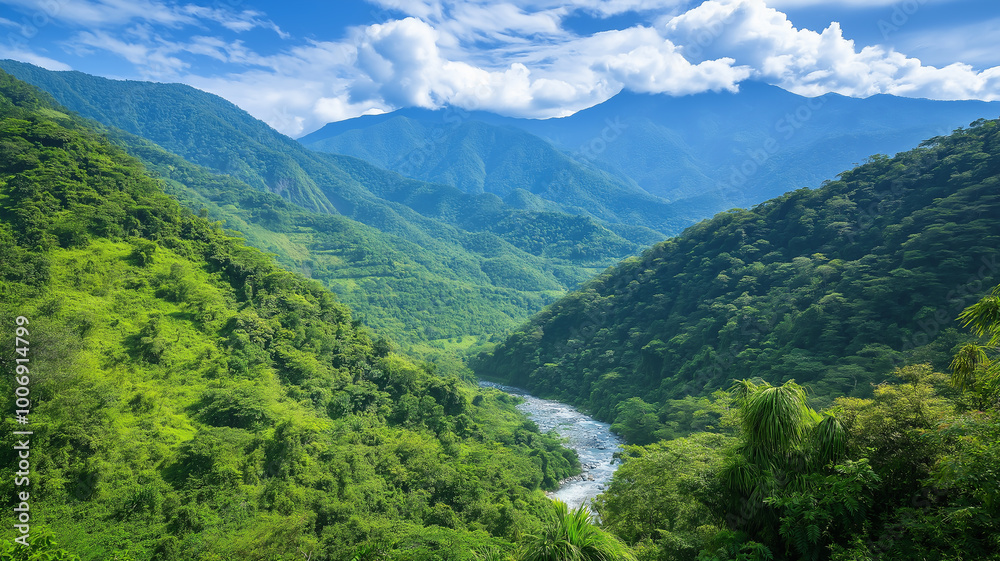 Naklejka premium A lush green mountain range with dense forests