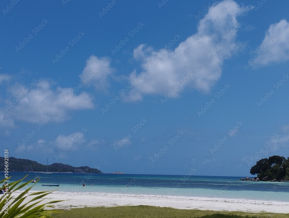 Fototapeta premium beach