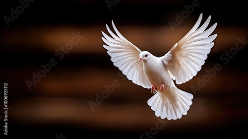 Elegant White Dove in Flight Against Dark Background