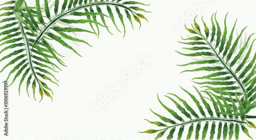 tree leaves