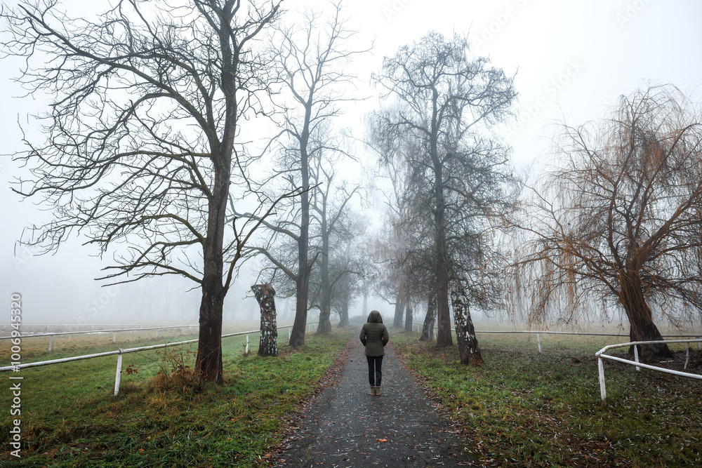 Solitary woman standing in a foggy landscape, evoking feelings of loneliness and detachment Solitary woman standing in a foggy landscape, evoking feelings of loneliness and detachment