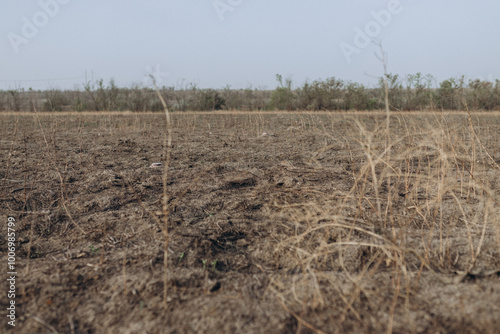 dangerous row of anti-tank mines placed in a minefield along wartime front lines in southern Ukraine, left behind after an invasion campaign. These explosive devices remain a threat near former battle