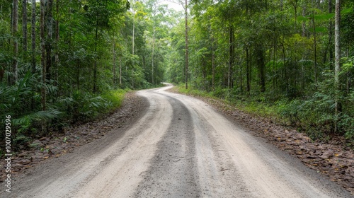 The rugged trail meanders through the vibrant tropical rainforest, surrounded by thick vegetation and shadows from overhanging trees on a sunny day