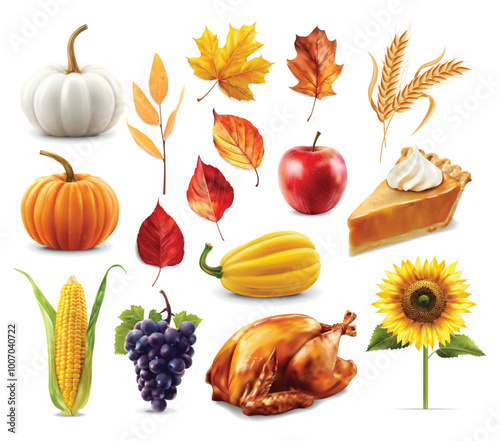 Autumn leaves and pumpkins set isolated white background, thanksgiving elements vector, autumn illustration, hello autumn vector	