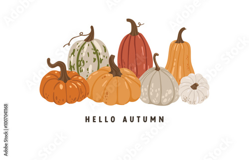 Autumn leaves and pumpkins set isolated white background, thanksgiving elements vector, autumn illustration, hello autumn vector	