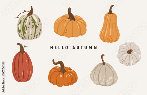 Autumn leaves and pumpkins set isolated white background, thanksgiving elements vector, autumn illustration, hello autumn vector	