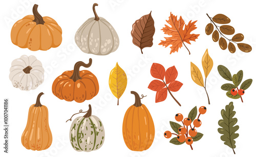 Autumn leaves and pumpkins set isolated white background, thanksgiving elements vector, autumn illustration, hello autumn vector	