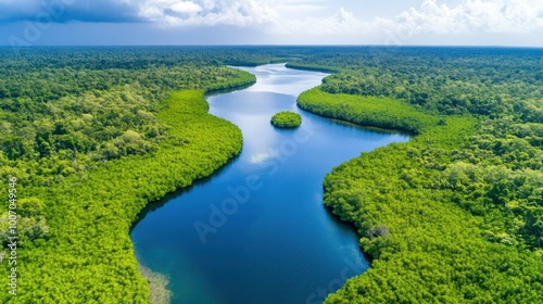 Lush River Winding Through Dense Green Forest Landscape