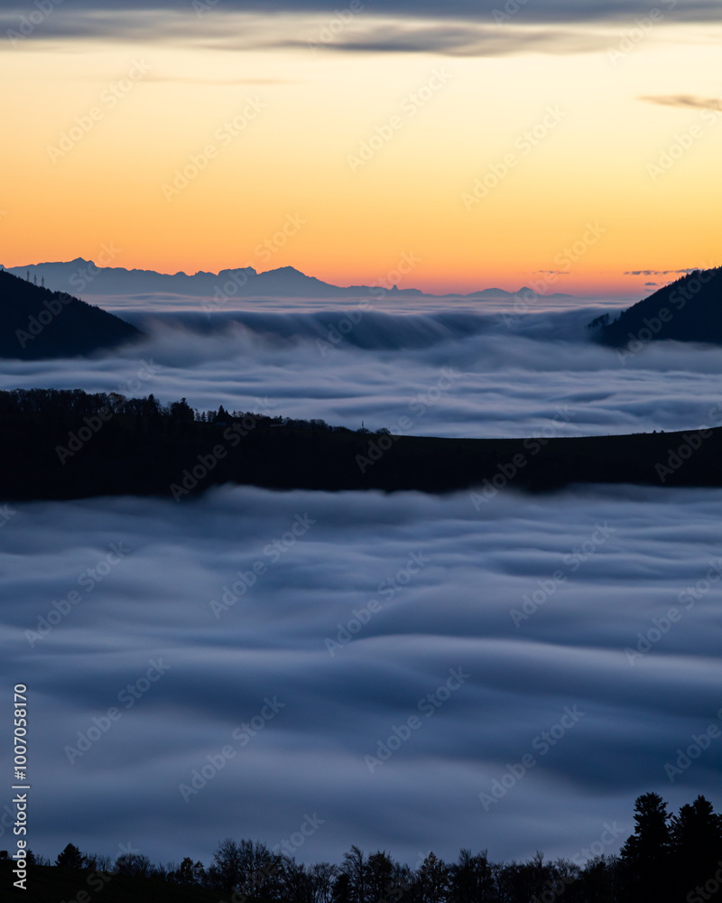 Fototapeta premium Nebelwelle