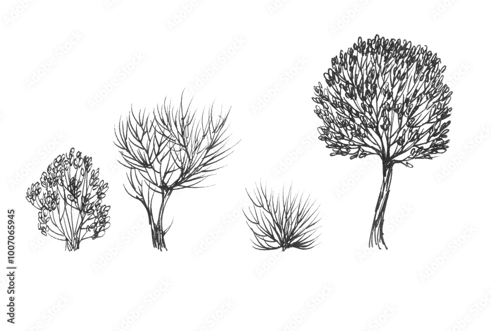 Naklejka premium Ink sketch of spring trees on white background