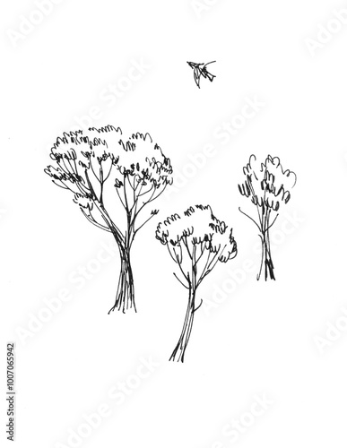 Ink sketch of pine trees on white background photo