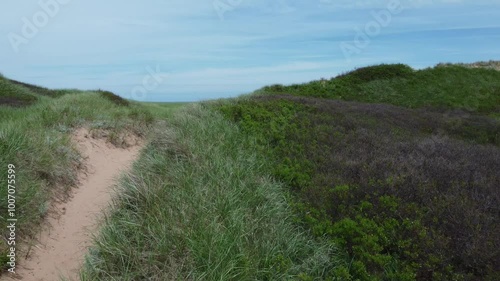 path to the ocean