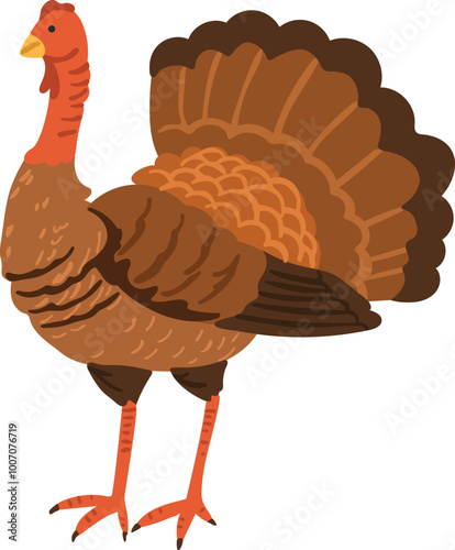 Turkey isolated white background, vector, autumn illustration, thanksgiving item