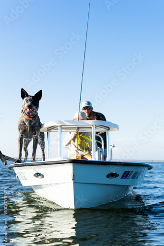 Slika na platnu Skiff Dog - Hells Bay