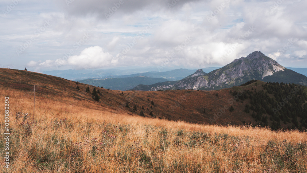 Fototapeta premium green autumn mountain landscape in Tatra Mountains