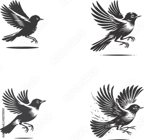 American Robin Flying Silhouette Vector | High-Quality Stock Illustration