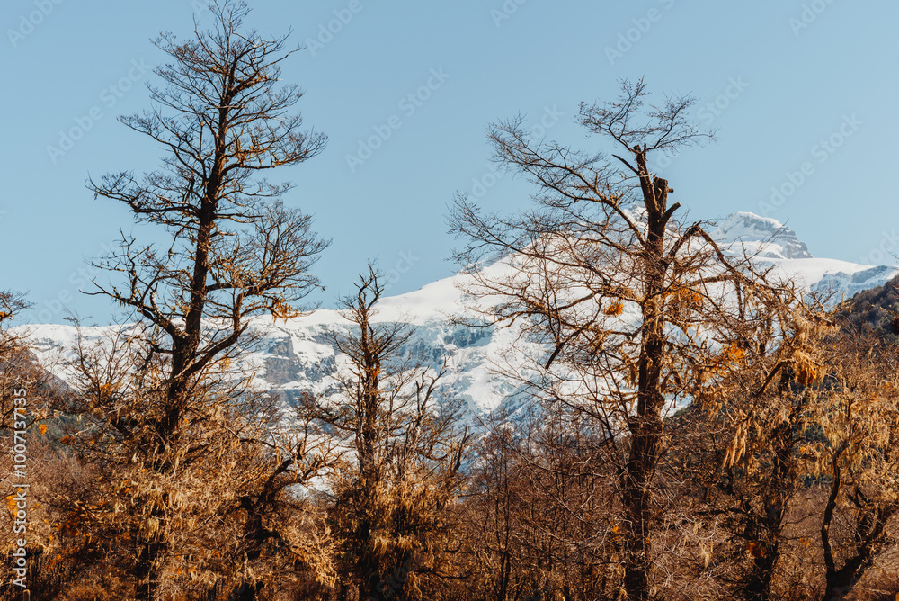 Entrance to the park and Cerro Tronador, San Carlos de Bariloche, Argentina Entrance to the park and Cerro Tronador, San Carlos de Bariloche, Argentina