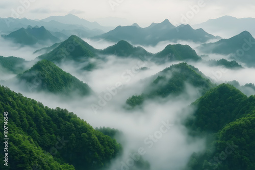 Lush green misty mountains with a rolling sea of clouds, serene natural landscape