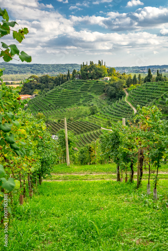 Colline del Prosecco