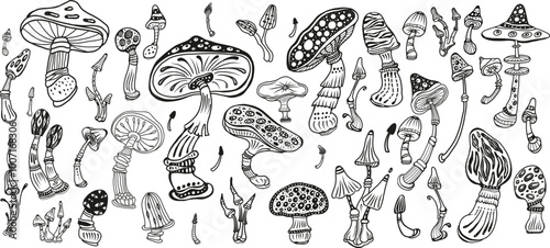 Magic mushrooms of various shape, black and white sketch