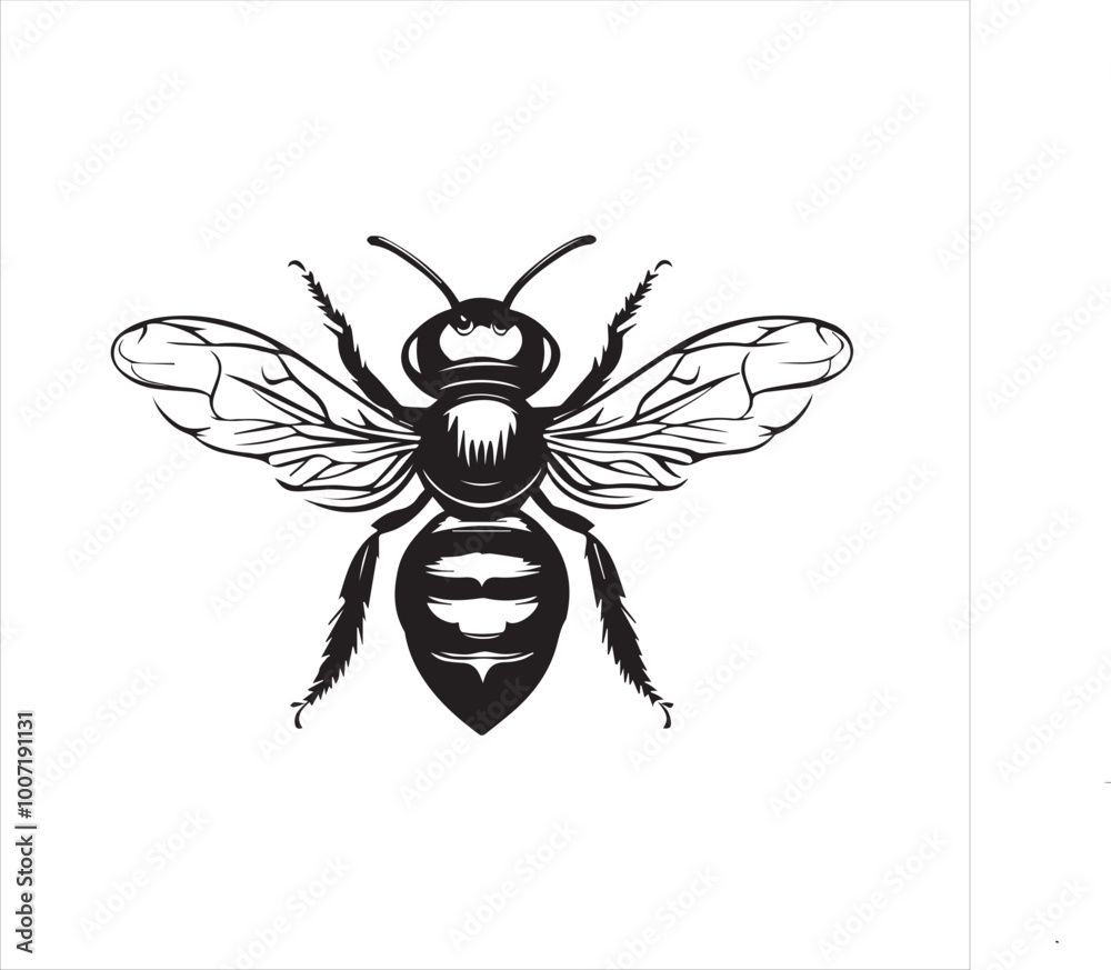 insect, animal, cartoon, fly, isolated, bug, vector, Bee Vector illustration ,illustration, nature, white, macro, bee, black, beetle, spider, pest, wildlife, tattoo, wasp, cute, drawing, ant, wing, f insect, animal, cartoon, fly, isolated, bug, vector, Bee Vector illustration ,illustration, nature, white, macro, bee, black, beetle, spider, pest, wildlife, tattoo, wasp, cute, drawing, ant, wing, f