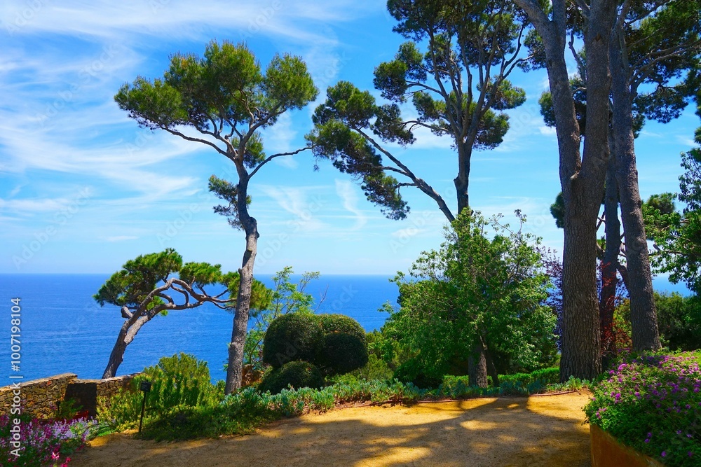 view through pines to the Mediterranean Sea from the botanical garden Jardins de Cap Roig, Girona, Catalonia, Spain view through pines to the Mediterranean Sea from the botanical garden Jardins de Cap Roig, Girona, Catalonia, Spain