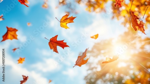 Colorful fall leaves falling against a blue sky with the sun shining in the background.