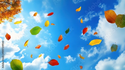 Colorful leaves falling against a blue sky and fluffy clouds.