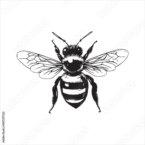 insect, animal, cartoon, fly, isolated, bug, vector, Bee Vector illustration  ,illustration, nature, white, macro, bee, black, beetle, spider, pest, wildlife, tattoo, wasp, cute, drawing, ant, wing, f