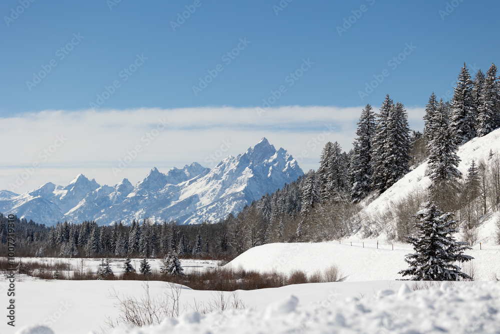Snow-Covered Mountain Range and Pine Forest in Winter Landscape Snow-Covered Mountain Range and Pine Forest in Winter Landscape