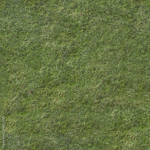 Seamless texture of the grass surface