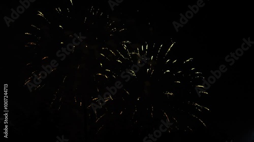 Golden green sparks scatter fireworks on the black night sky