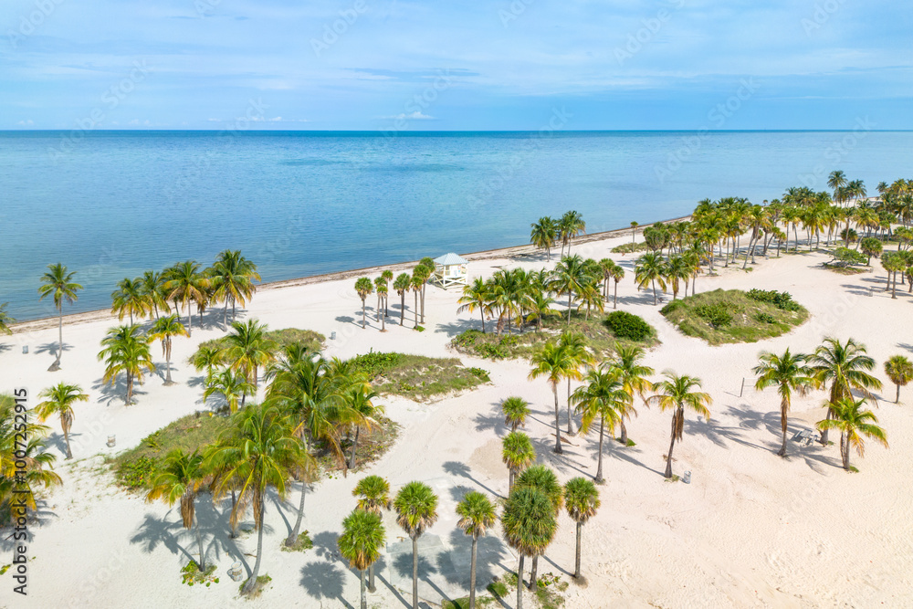 Tropical paradise with palm trees lining sandy beach Tropical paradise with palm trees lining sandy beach