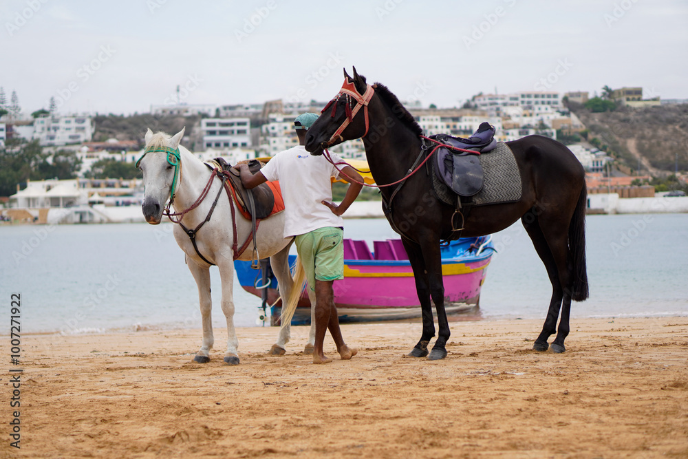 a moroccan black and white horse standing next to a man in the beach of oualidia, Morocco a moroccan black and white horse standing next to a man in the beach of oualidia, Morocco