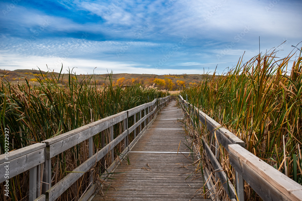Obraz premium Marsh boardwalk in Buffalo Pound Provincial Park