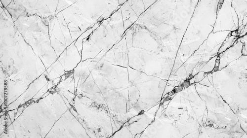 A close-up shot of a black and white marble floor with intricate patterns