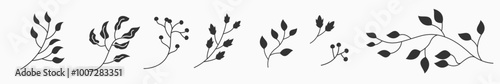 Vector Set Floral Leaf with silhouette 2 color. Aesthetic icon foliage