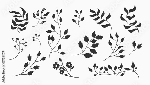 Vector Set Floral Leaf with silhouette 2 color. Aesthetic icon foliage