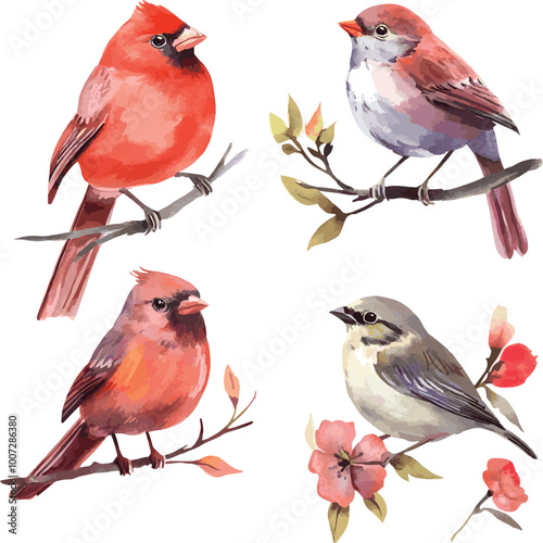 set of cardinal on branches, vector set