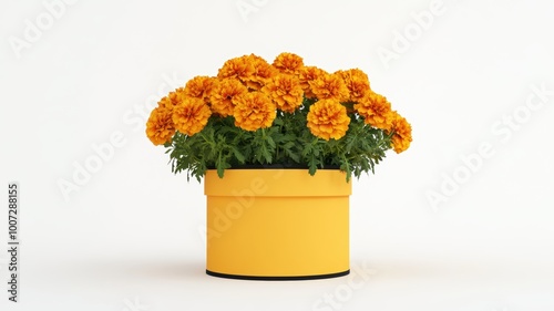A summer bouquet of marigol...