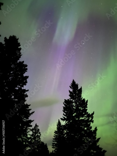 Northern Lights