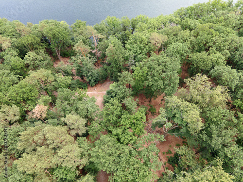 Aerial top down of Krumme Lanke Lake during summer in Grunewald Forest in West Berlin photo