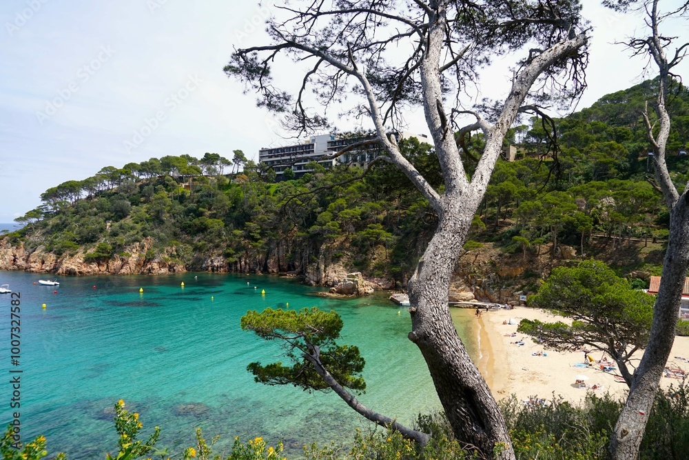 view of the beautiful white Aiguablava beach and bay from the Camí de Ronda hiking trail along the coastline of the Mediterranean Sea, Costa Brava, Catalonia, Spain view of the beautiful white Aiguablava beach and bay from the Camí de Ronda hiking trail along the coastline of the Mediterranean Sea, Costa Brava, Catalonia, Spain