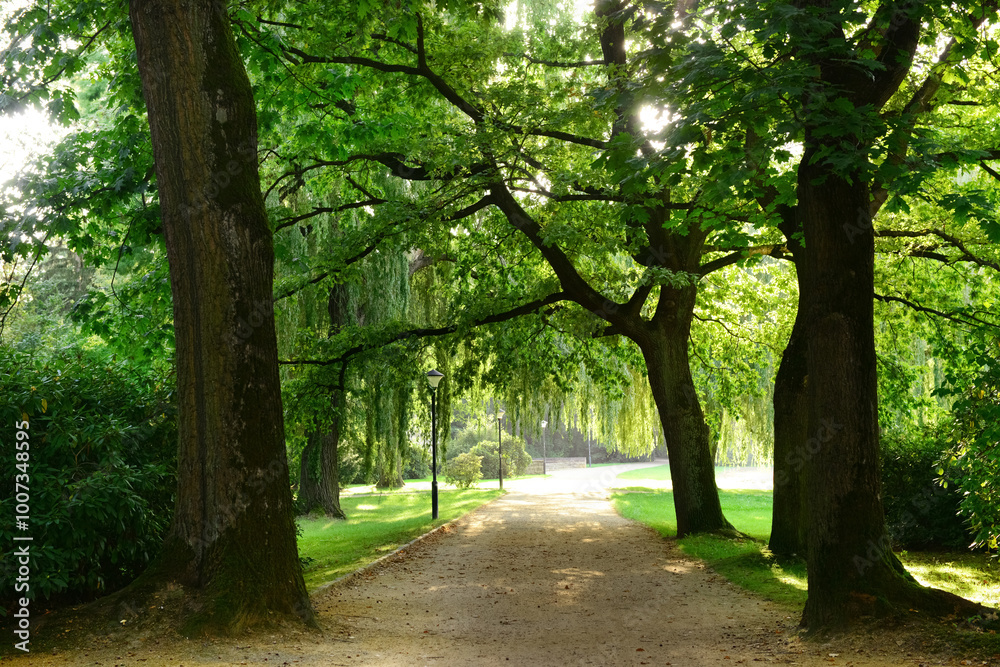 View of park with alley, green trees and street lamps View of park with alley, green trees and street lamps
