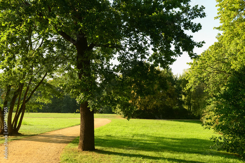 View of park with pathway, ...