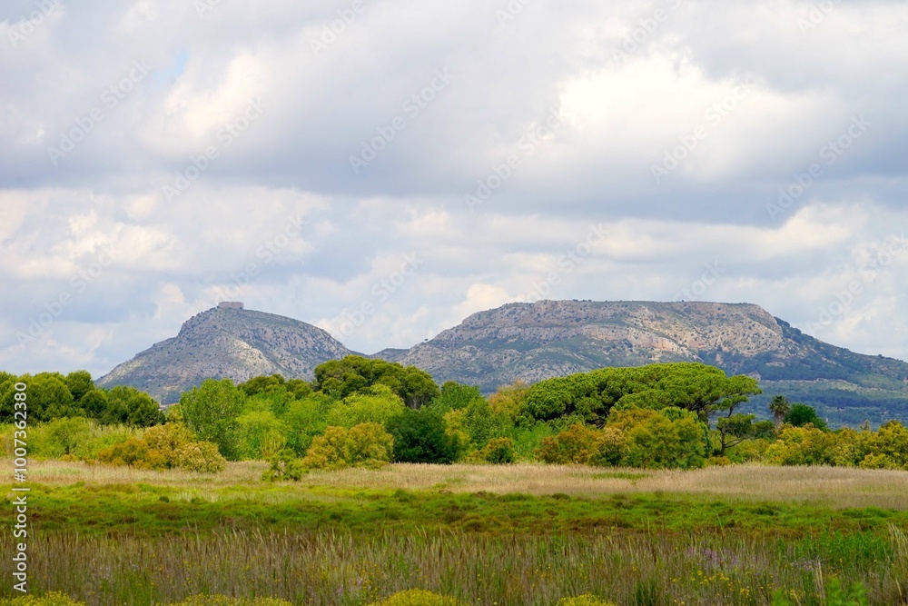 Fototapeta premium landscape in Catalonia with a view to the inland and the mountains near Torroella de Montgrí with the Castell del Montgrí, Catalonia, Girona, Spain